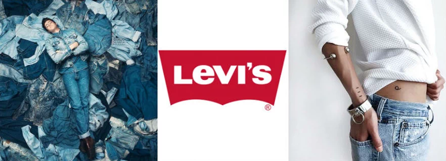 levis-brands-introduce-by-seasonway.webp