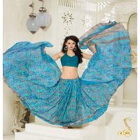 Maira Blue Pure Weight Lace Saree