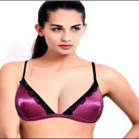 Hot Purple Lace Everyday Bra 