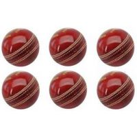 SS Gutsy Cricket Ball - Size: 2.5  (Pack of 2, Red)