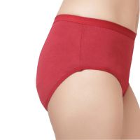 Women Plus Size Brief Pack Of 2