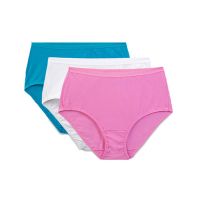 Western Beauty Assorted Soft 3 Panties
