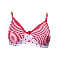 50% Off Shilpa Star Printed Everyday Bra