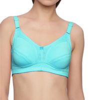 Hushh Sky Blue Plus Size Regular Fit Bra