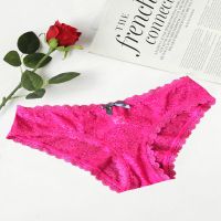 Etam Transparent Pink Floral Net Lace Panties