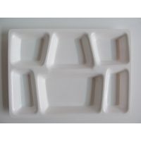 Chhajer Handicraft Acrylic 6 Partition Plate