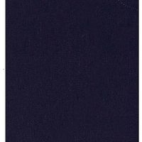 Raymond-Classic Navy Blue Trouser Fabric