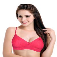 Hushh Dark Pink Floral Net Everyday Bra