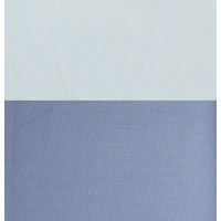 Raymond Combo Pack Of White & Blue Shirting Fabric