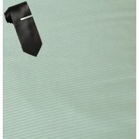 Raymond Green Linning Shirting Fabric Free Tie