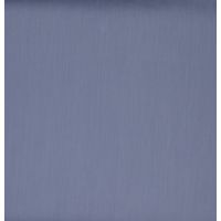 Raymond Bluish Grey Shirting Fabric  