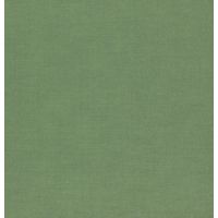 Raymond Plain Green Shirting Fabric  