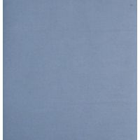 Raymond Plain Light  Blue Trouser Fabric