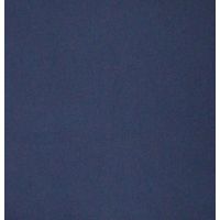 Raymond Plain Navy Blue Trouser Fabric