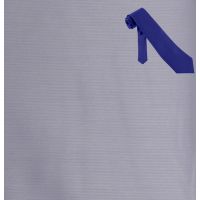 Raymond Light Purple Self Linning Shirting Fabric Free Tie