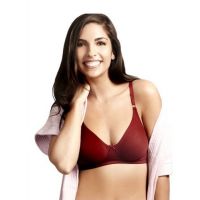 Everyday Soft Cotton Bra(Pack Of 2)