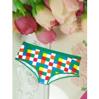 Gorgeous Multi  Color Check Printed Panties