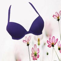 60% Off Purple Padded Underwired Halter Neck Bra