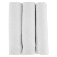 Seasons White Cotton Men's Handkerchief - 3 Piece Pack