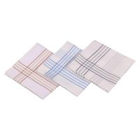 Seasons White Cotton Handkerchief - 3 Piece