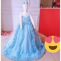 Blue Net Satin & Cotton lining Raffle Gowns