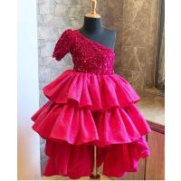 Pink Net Satin & Cotton lining Raffle Gowns