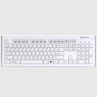 ZEBRONICS Zeb- DLK01 Multimedia Keyboard Wired USB Desktop Keyboard (White)