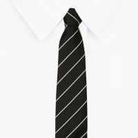 Seasons Black & White Stripes Formal Necktie for Men