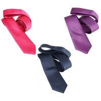 Seasons Collections Multicolor Polyester Neck Tie