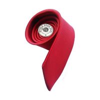 Seasons  Deal Red Microfiber Narrow Tie