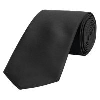 Seasons  Black Formal Necktie