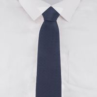 Seasons Blue Printed Men's Tie