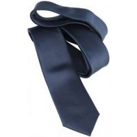 Seasons Collections Beautiful Solid Color Tie