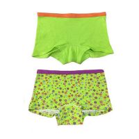 Pk 2 Beautiful Girls Boyshort Panties