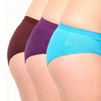 Westren Beauty  Comfort Fit Plus Size Panties 3-Pack