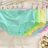 Westren Beauty Multi Plus Size 6-Pack Panties