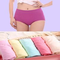 Bpc 5-Pack Cotton Plus Size Panties