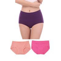 Bpc Plus Size Brief Panties Pack Of 3