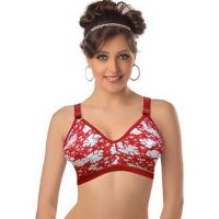 Floral Print Pack Of 3 Plus Size Bra