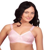 Pink Plus Size Bra 