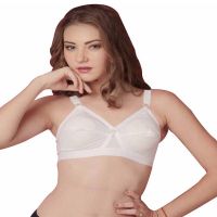 Classic White Plus Size Bra