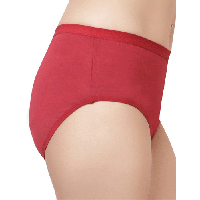 Women’s Plus Size Brief Pack Of 2
