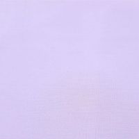 Raymond Purple Unstitched Shirt Fabric