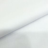 Raymond Men Shirt Fabric White
