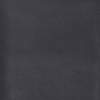 Raymond Men Trouser Fabric Black