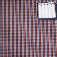Raymond Unstitched Shirt Fabric Free Handkerchief