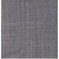 Raymond- Lightweight Gray Trouser Fabric