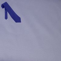 Raymond Men Poly Blended Shirting Fabric Purple Free Tie