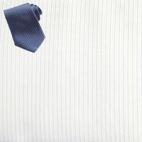 Raymond Men Poly Blended Shirting Fabric White Free Tie