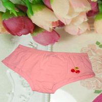 ADORABLE LIGHT PINK APPLE APPLIQUÉ PANTY BRIEF